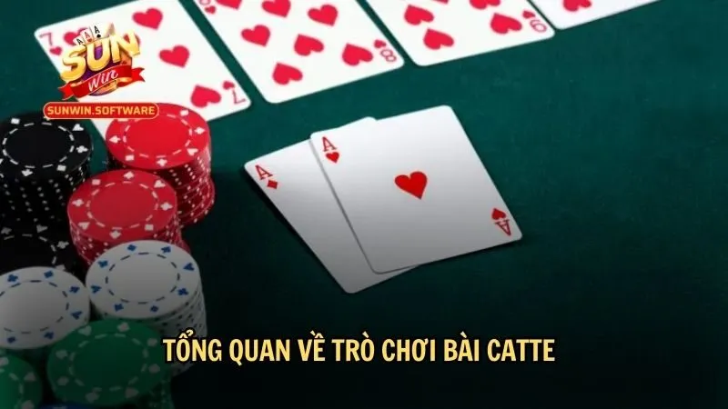 Tổng quan chung về trò chơi bài Catte